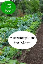 Aussaatplane Im Marz Jetzt Ist Alles Moglich Haus Und Beet Selbstversorger Garten Gartenarbeit Fur Anfanger Hinterhof Gemusegarten