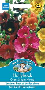 We did not find results for: Best Cottage Garden Plants For The Shade Sun Uk