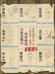 pin by lucas chao on tcm in 2020 health knowledge acupuncture body health