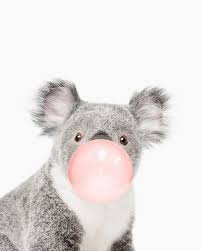 Koala Print Bubble Gum Nursery Art Koala Wall Art Animal Kids Room Modern Art Wall Decor Art Print By Juliaemelian Animal Pictures For Kids Animal Kids Room Animal Wall Art