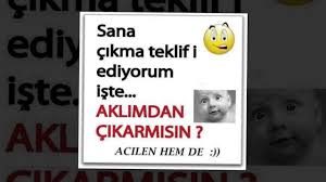 Gulmeli Sekiller 2016 #4
