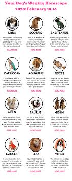 You may start thinking about what life will be like when he or she is gone. Your Dog S Weekly Horoscope 2020 February 10 16 Dog Horoscope Horoscope Weekly Horoscope