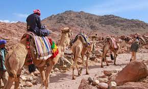 Camel test, how many camels am i worth, camel calculator female, camel calculator male, camel worth calculator, girlfriend, boyfriend, калькулятор в верблюдах, сколько take this camel test to get real (no) price information. St Catherine S Monastery Climbing Mount Sinai Sharm El Sheikh Saint Catherine S Monastery St Catherine Monastery