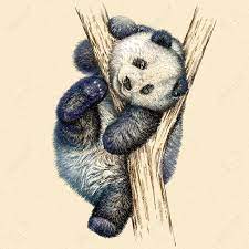 Engrave Isolated Panda Bear Illustration Sketch Linear Art Stock Photo Picture And Royalty Free Image Image 46498399 2) a partir de la mitad del rectangulo, traza una linea vertical y otra horizontal para trabaja en el contorno del oso panda, tratando de variar el grosor y la oscuridad de la linea. engrave isolated panda bear illustration sketch linear art