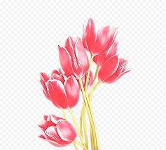 زهرة الزنبق توليب ملصق باقة زهور طباعة ملصق حائط بتلة