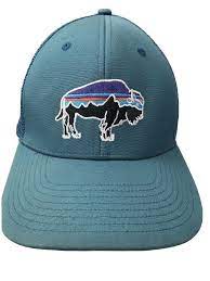 Patagonia Bison Trucker Hat Teal Blue Mesh Trucker Hat Snapback Ebay Mesh Trucker Hat Hats Snapback Hats
