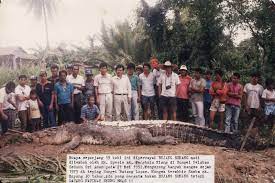 Buah yang di gambar ini dipercaya memiliki kandungan yang bagus untuk ibu hamil. Lagenda Bujang Senang Si Buaya Pembaham Ramai Manusia Di Sarawak Libur