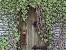 Misselthwaite Manor The Secret Garden Movie