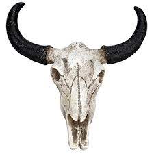 Large cow skull acrylic palette knife painting print. Quality Resin Longhorn Cow Skull Head Wall Hanging Decor 3d Animal Wildlife Sculpture Figurines Crafts Horns For Home Halloween Aliexpress