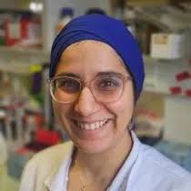 A Pan-Cancer Analysis Reveals High-Frequency Genetic Alterations in  Mediators of Signaling by the TGF-β Superfamily