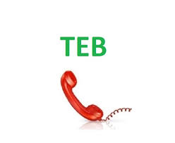 Teb müşteri hizmetlerine nasıl ve nereden bağlanılır? Teb Musteri Hizmetleri Numarasi 444 Teb Cagri Merkezi Telefonu