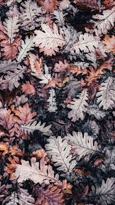 15 Gorgeous Happy Fall Iphone X Wallpapers Preppy Wallpapers Iphone Fondos De Pantalla Fondos De Pantalla De Iphone Fondos De Pantalla Otono