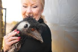 Kathy Rogers's Instagram, Twitter & Facebook