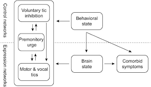 Image result for Tic Disorder