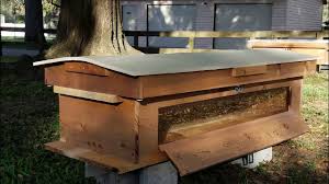 I knew i wanted 2 hives. Hybrid Cedar Top Bar Langstroth Hives Youtube