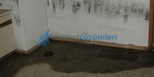 Ya bunları biliyor musunuz da yine ilginç, şaşırtıcı, muhteşem, faydalı, açıklayıcı, süper, enteresan, tuhaf. Bina Temelinden Su Cikmasi Tesisat Cozumleri