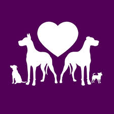 Check spelling or type a new query. Pets For Adoption At Great Dane Friends Of Ruff Love In Iron Station Nc Petfinder