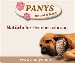 Hundesprüche Zum Abschied Schöne Sprüche Und Zitate Alles Dogde