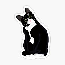 Tuxedo Cat Stickers Redbubble You can choose the most popular free tuxedo cat gifs to your phone or computer. redbubble