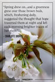 Hope for the flowers reflection. 20 Best Spring Quotes Inspirational And Funny Sayings About Spring