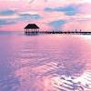 Pink beach aesthetic background / 45 free beautiful summer wallpapers for iphone : 3