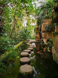 Photo Gallery Botanischer Garten Berlin Jardin Botanico Jardines Aire Libre