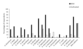 Image result for Aloe bicomitum