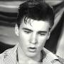 Profile Picture of Ricky Nelson appreciation post because he never gets his flowers ...on Google