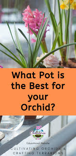 Check spelling or type a new query. Fact Or Myth Orchids Prefer Clear Plastic Pots To Grow Orchids In Water Orchids Orchid Plant Care