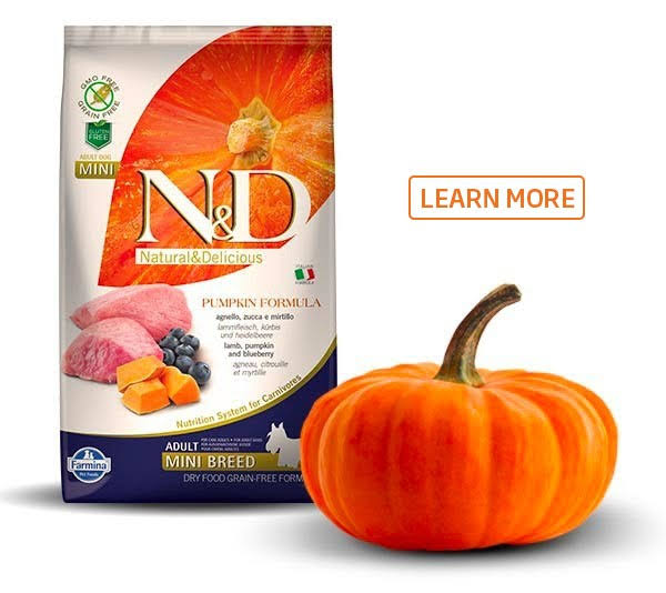 N&D Mini Breed Adult Pumpkin Formula product image