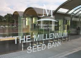 Where possible, collections of seeds stored at wakehurst are duplicated in seed banks in the country where they. Millenium Seed Bank Wakehurst Place Photo Colin Bainbridge Photos At Pbase Com