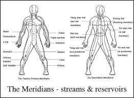 Image result for anatomy of exercise for longevity