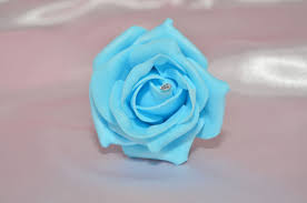 We did not find results for: Light Blue With Diamante 1 Flower Colour Samples Wedding Silk And Foam Bouquets By Design