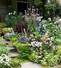 But there are so many more great candidates. Exquisite Purple And White Flower Combinations For Your Garden Cottage Garden Plants Cottage Garden Design Cottage Garden
