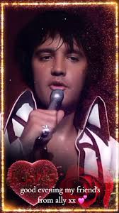 Good evening my friends 🧡 have a wonderful evening with our gorgeous Elvis  ❤️🥰