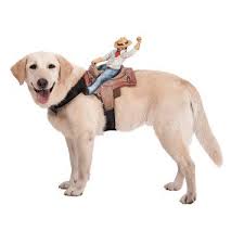 Small Dog Costumes Dinosaur Dog Costume Raptor Halloween Costumes Serbagunamarine Com Cowboy Dog Costume Dog Costumes Funny Dog Halloween Costumes