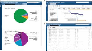 Screen Shots Of User Interfaces For Possible Dashboards The