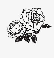 Black And White Illustration Png Two Black And White Roses Angle Trim Black And White Simple Rose Png Transparent Clipart Image And Psd File For Free Download Black And White Roses Roses Drawing Rose Clipart