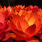 Diwali at Bateman's event image