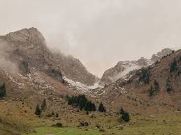Clinique Vétérinaire d'Abondance