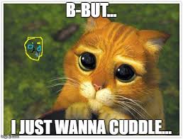 Shrek Cat Meme Imgflip