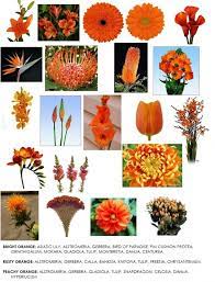 Orange flowers names and pictures. Orange Flowers Orange Flowers Wedding Flowers Hydrangea Orange Wedding Flowers