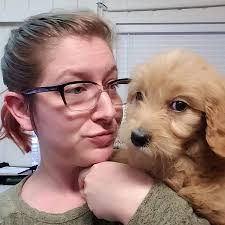 We've got a visitor in the office. Anyone know this dog?