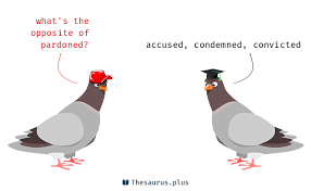 How to use conviction in a sentence. Words Convicted And Pardoned Are Semantically Related Or Have Opposite Meaning