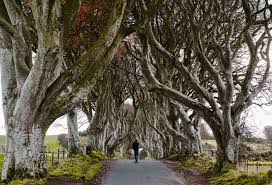 Belfast is the capital and largest city of northern ireland, standing on the banks of the river lagan on the east coast. 30 Fun Things To Do In Belfast Ireland In 2021