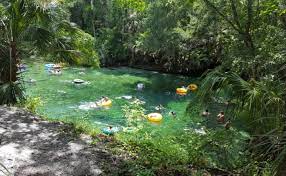 The hottest new campground in florida is here at splash! 8 Lazy Rivers In Florida That Are Perfect For Tubing On A Summer S Day Blue Springs State Park Visit Florida Florida State Parks