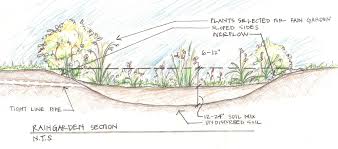 Time for a new spring project. Rain Garden H2d Architecture Design Blog