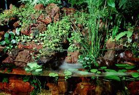 This type is most popular in the paludarium or aqua terrarium tank which mean the water is pumped from the paludarium tank the aquarium part and pour on the rock or wood formation in the land part and then back to the same. What Is An Aqua Terrarium Paludarium