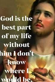 Good night my friends. 🐈🌼🌺🌿