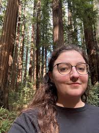 Drawing with Glass: An Introduction to Stringer Drawings